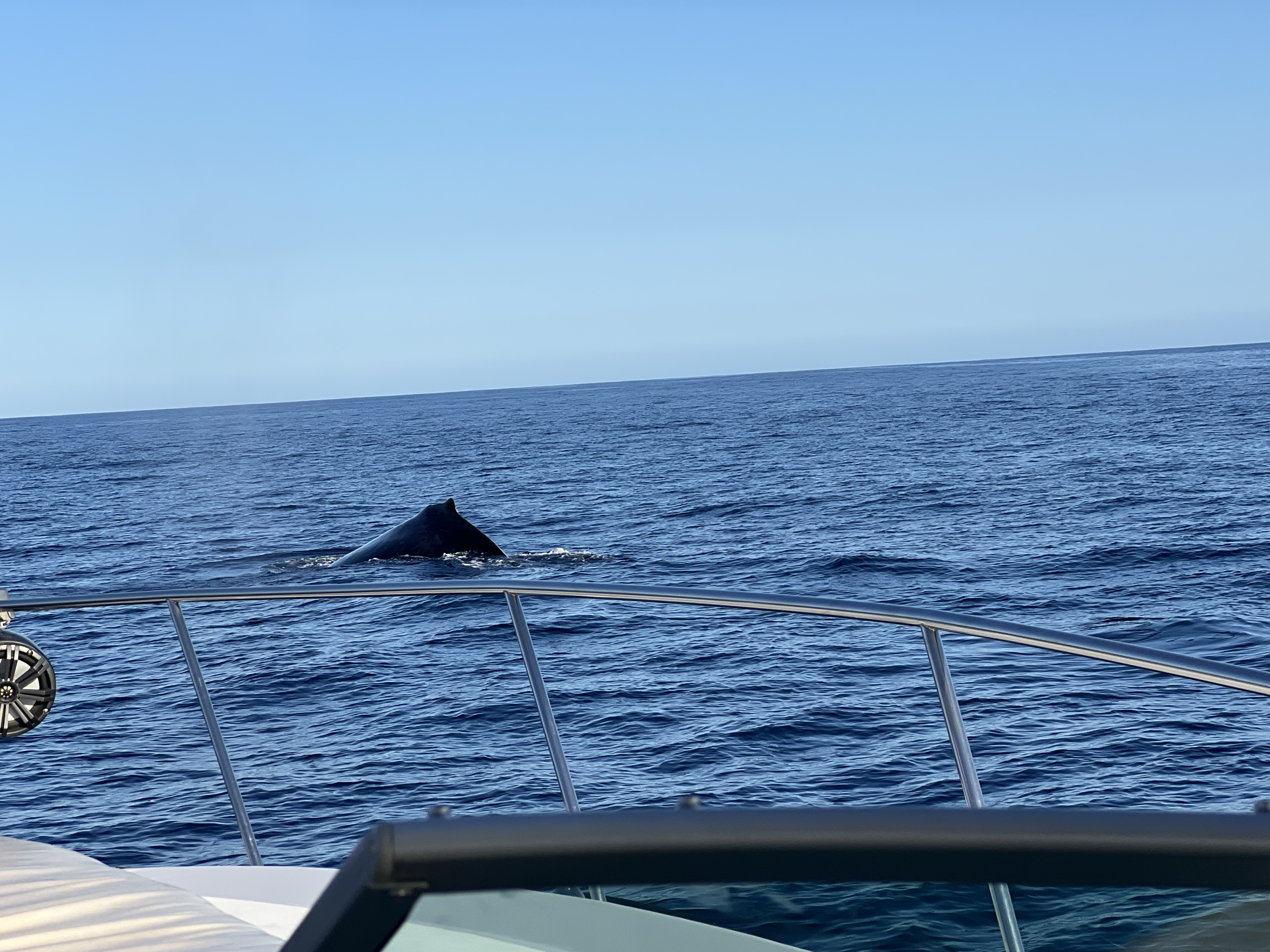 ./2024/13 - Cabo/IMG_4706.jpg